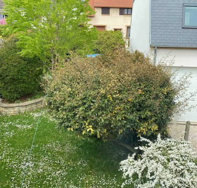 Chambre chez l’habitant