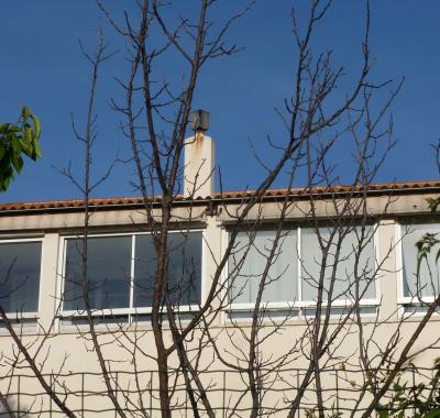 Grande pièce de 34 M2 dans maison de ville