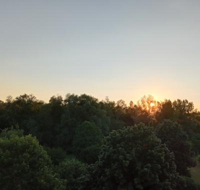 Chambre claire, calme, confortable