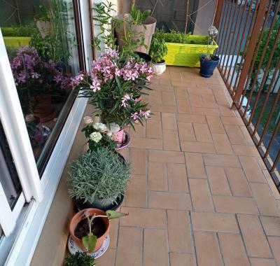 Chambre claire, calme, confortable