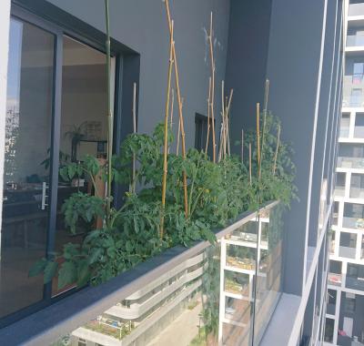 Chambre calme et lumineuse Gare Sud