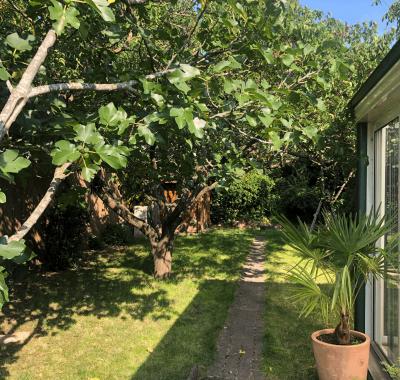 Chambre à louer au Pecq