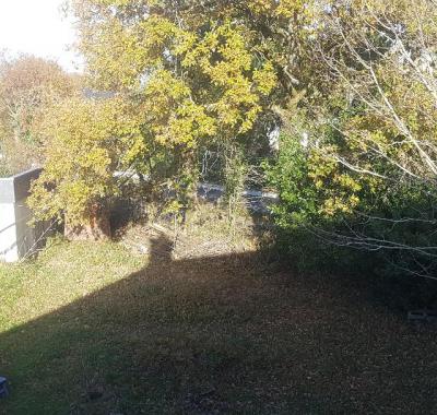 1, 2, occasionnellement 3 chambres chez musicienne