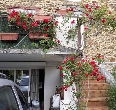 Ma chambre meublée chez l'habitant