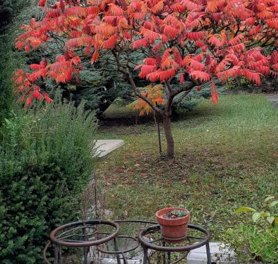 Ma chambre meublée chez l'habitant