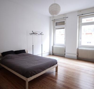 Belle et spacieuse chambre de 20m2 appart centre