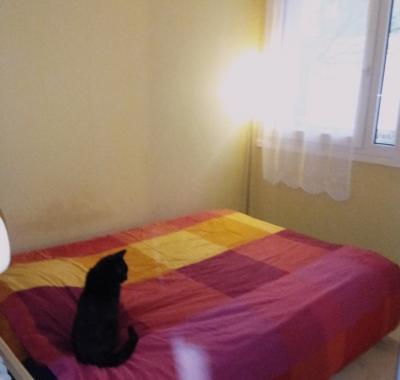 Chambre à louer à Gif sur Yvette