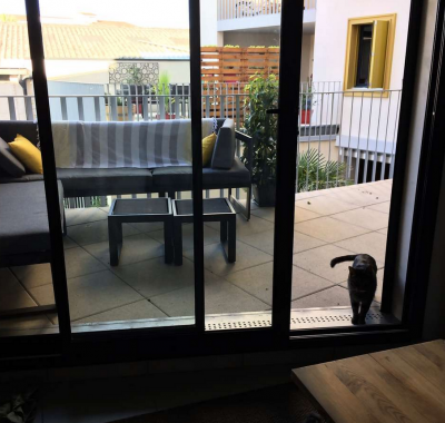 Colocation aux Chartrons