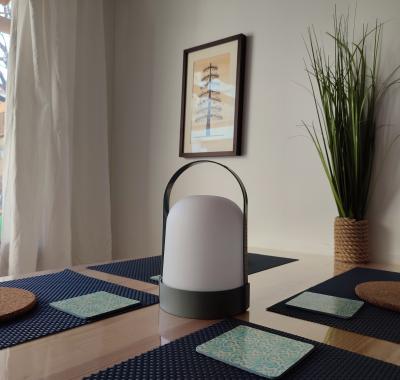 30 M2 de charme au calme  Avignon idéal études et professionnels