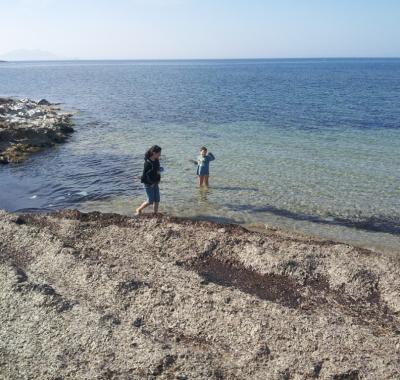 Chambre sympa chez l'habitant pour filles et femmes