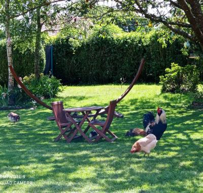 Chambres a louer dans petit coin de paradis