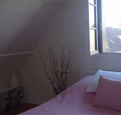 Chambres a louer dans petit coin de paradis