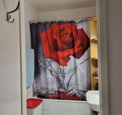 Chambre à louer à Genève.