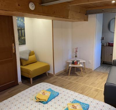 Péniche Le Pescalune - Chambre d'Hôtes - Van Gogh