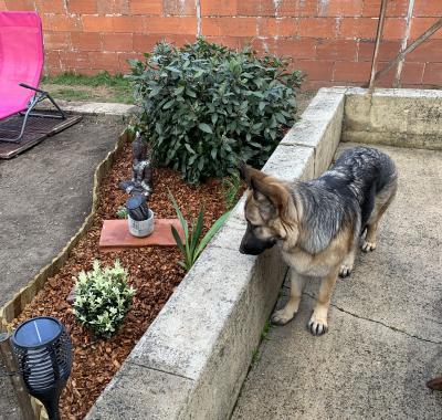 Chambre casa de shiva