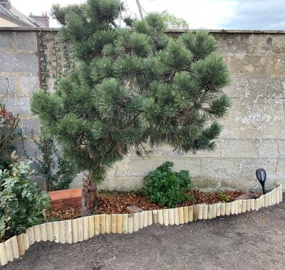 Chambre casa de shiva