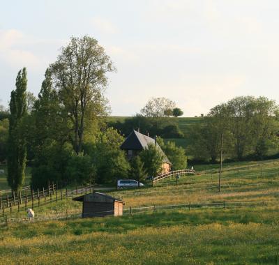Roulotte bohême en pleine nature au milieu des poneys