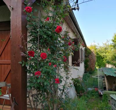 Chambre à louer à Saint-avertin