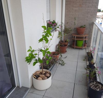 Chambre de 12m2 vue sur balcon