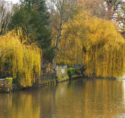 Chambre à louer à Caen - Vue imprenable sur Caen