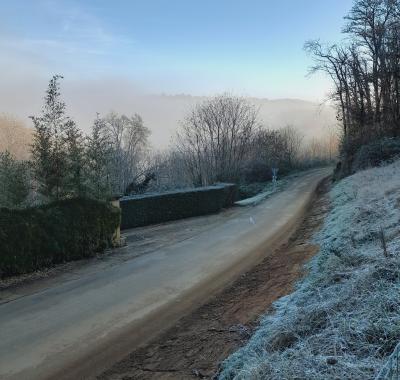 LES HORTENSIAS CHAMBRE FIGUE