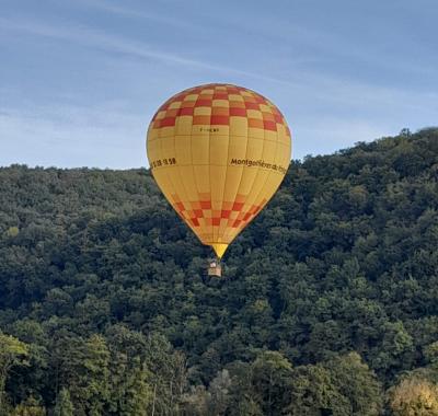 LES HORTENSIAS CHAMBRE FIGUE