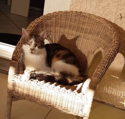 CHAMBRE CHEZ L'HABITANT(Accès Voie verte-Liaison Véloire V71)