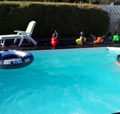 Agréable chambre à louer +Accès Piscine du 1/5 au 15/10