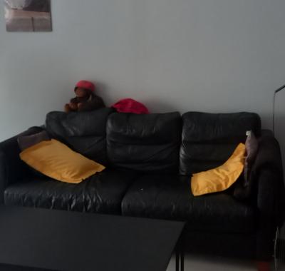 COLOCATION ETUDIANTE