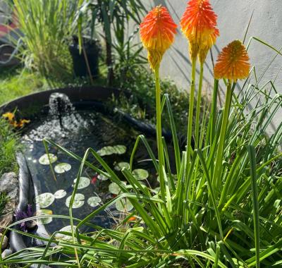 Chambre à louer chez l habitant