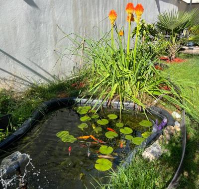 Chambre à louer chez l habitant