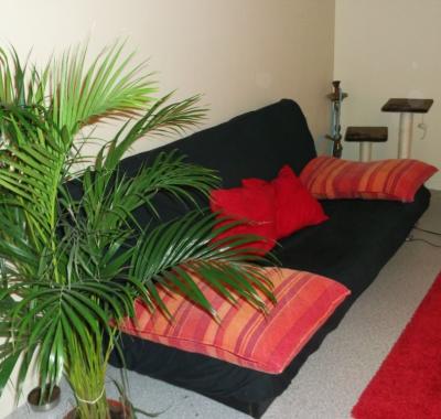 Propose un canapé en plein coeur de Tours