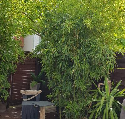 Chambre chez l'habitant Juvignac