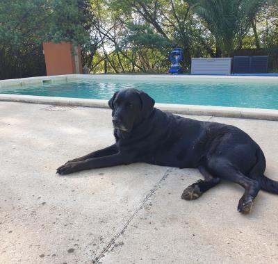 Chambre privée dans propriété rurale