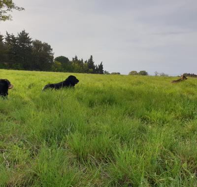 Chambre privée dans propriété rurale