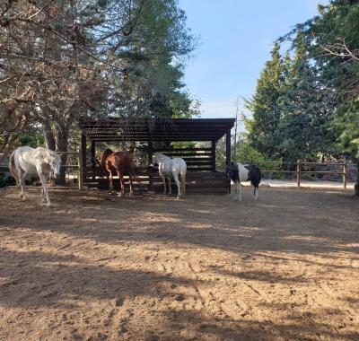 Chambre privée dans propriété rurale
