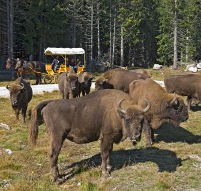 Vos petits déjeuners de produits locaux offerts !