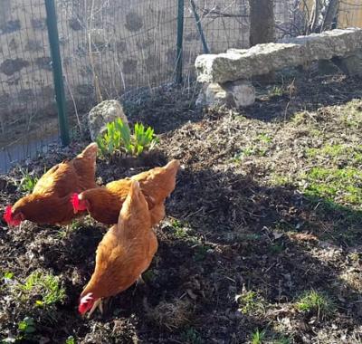 Chez Romu , la chambre enfants/ados offerte pour les vacances !