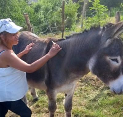 Chez Romu , un oasis de paix en Margeride !