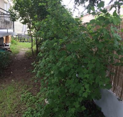 CHAMBRE COSY ET SYMPA POUR UN HOTE SYMPA !