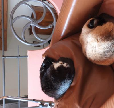 A la campagne 12km mer et 15km ESPAGNE