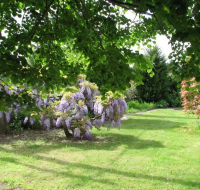Chambre à Louer à proximité de Lyon, maison avec beau jardin