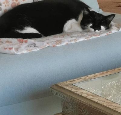 Chambre 12m2 chez l'habitante Pantin a 2 stations de métro de Paris