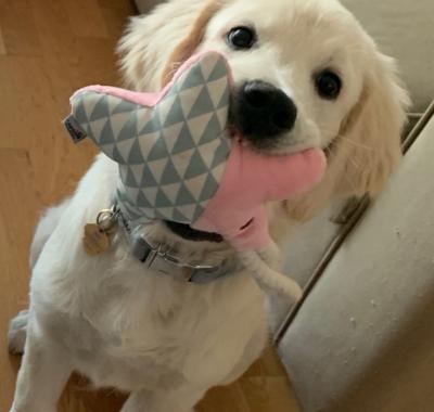 Chambre 12m2 chez l'habitante Pantin a 2 stations de métro de Paris