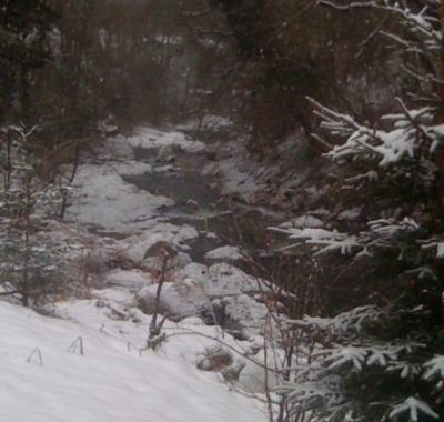 Chambres à louer à la montagne vallée luchonnaise 31