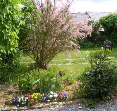 Chambre à la lisière de forêt, p'tit déj inclu