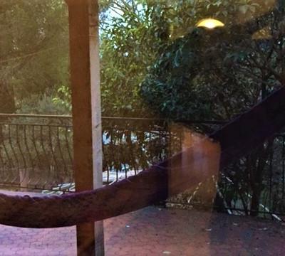 Chambre a louer pour Danseurs ou musiciens