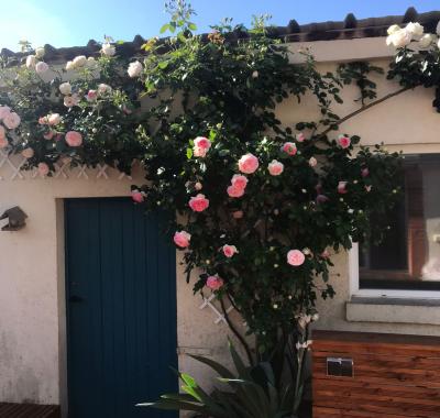 Chambre à louer dans petite maison - proche Tours