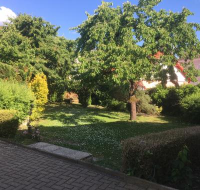 Sympathique chambre à louer