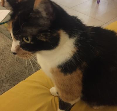 Agréable chambre à louer chez l’habitant